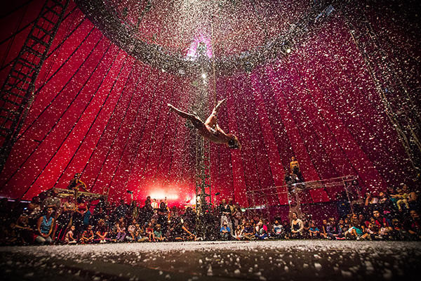 Image of trapeze act NoFit State Circus