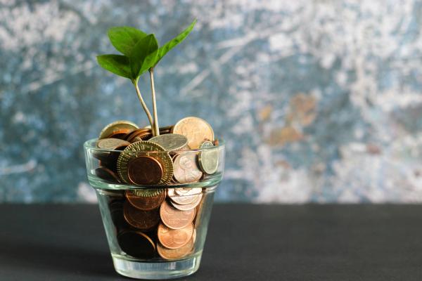 A green shoot growing out of a glass of coins