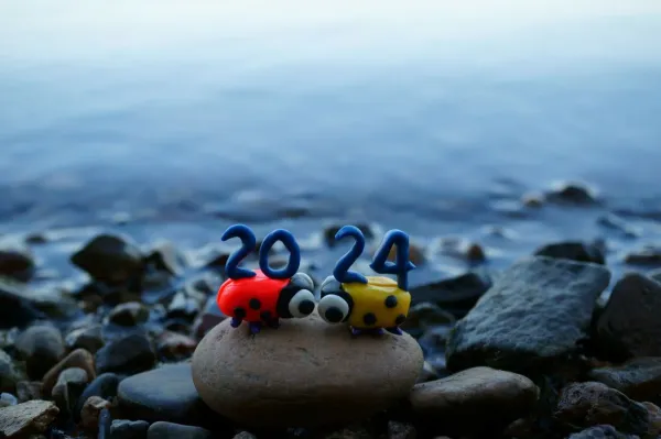 Image of ladybugs sitting on pebbles in a river, holding the date 2024