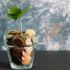 A green shoot growing out of a glass of coins