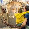 Dad and boy looking at dinosaur